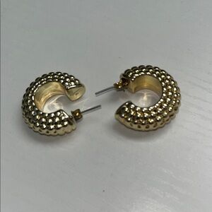 Elegant Gold Hoop Earrings